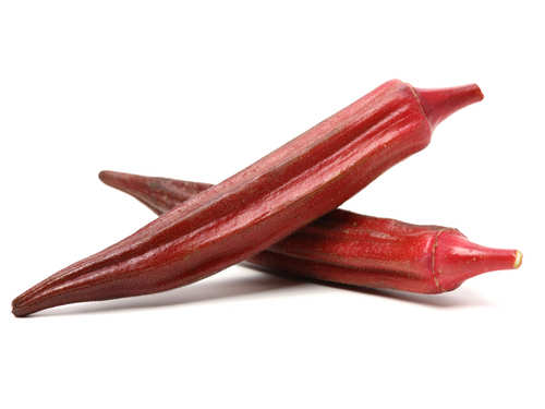 RED LADIES FINGER (சிகப்பு வெண்டை)