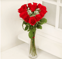 Red Of Love Red Of Love