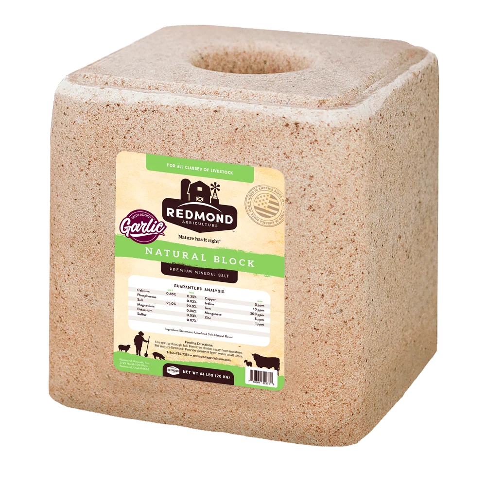 Natural Salt Block-Garlic