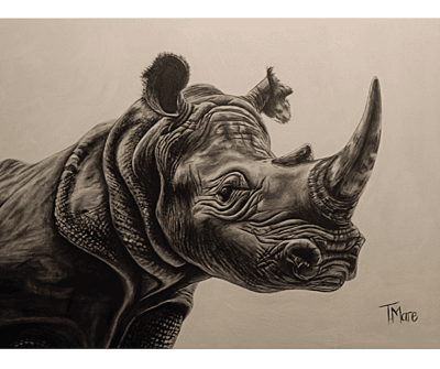 Save The Rhino by Tiffany Maré