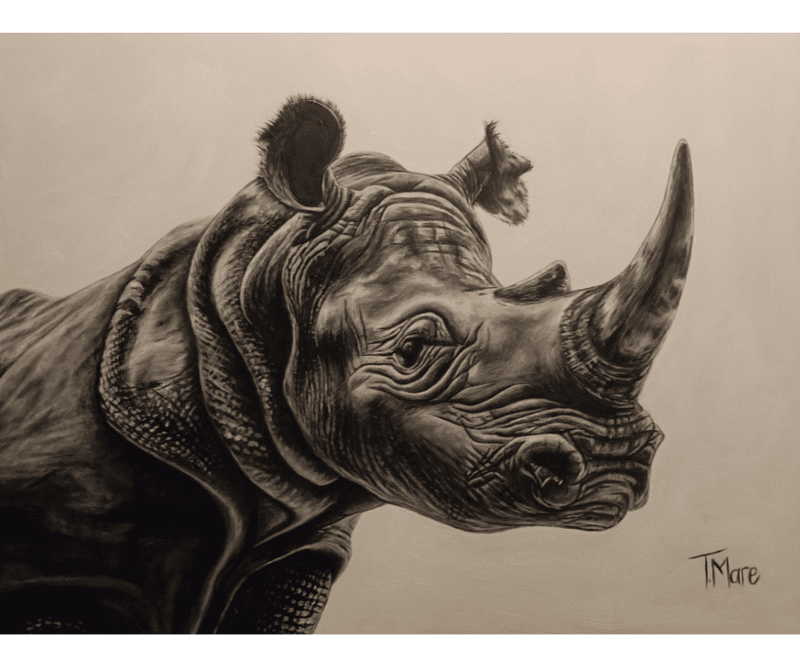 Save The Rhino by Tiffany Maré