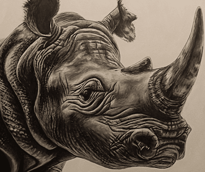 Save The Rhino by Tiffany Maré