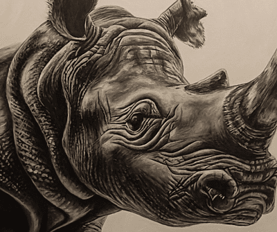 Save The Rhino by Tiffany Maré