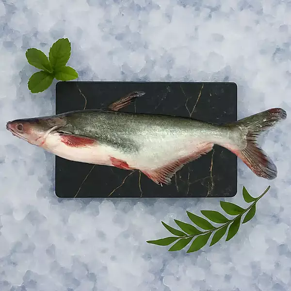 Indian Basa/ಬಾಸಾ