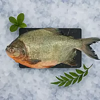 Roopchand/ರೂಪಚಂದ