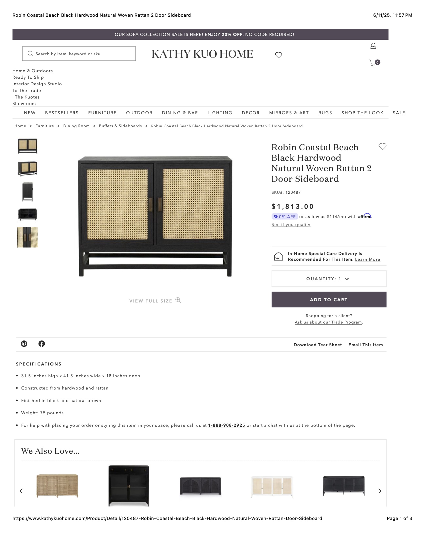 Robin Coastal Beach Black Hardwood Natural Woven Rattan 2 Door Sideboard