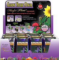 Rosemary Herbs Growing Kit