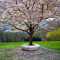 Round Bench