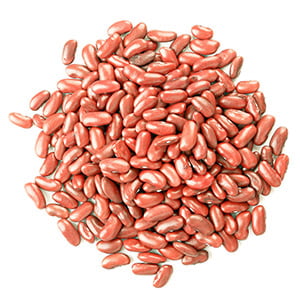 PUL41049 : Royal Protein Light Red Kidney Beans 55 LB