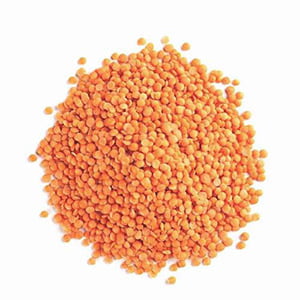PUL41008 : Royal Protein Masoor Daal / Football Lentils 2 LB