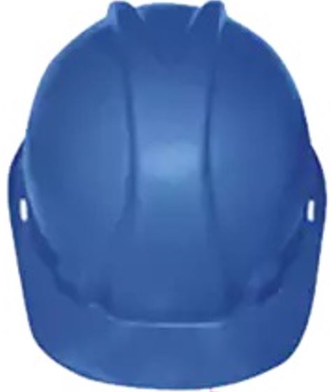 Pinnacle Safety Hard Hats
