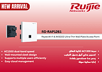 RG-RAP1261