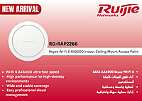 RG-RAP2266