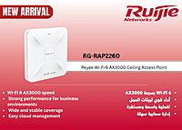 RG-RAP2260
