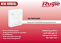 RG-RAP2260