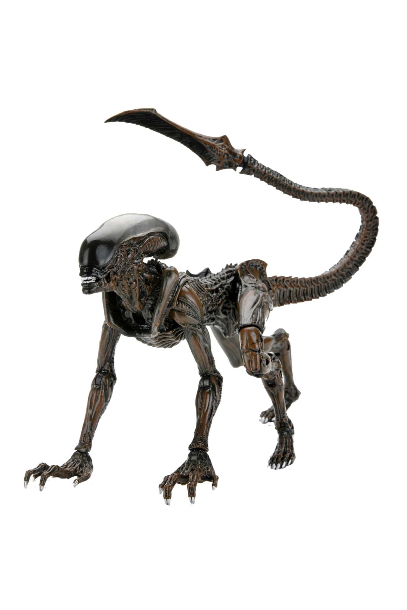 Runner Alien Fireteam Elite