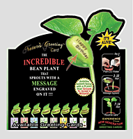 NG Card Start-Up Order