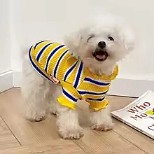Yellow & Blue Striped Dog Sweater – Soft Casual Pet Shirt