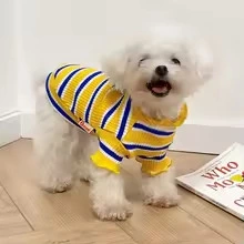 Yellow & Blue Striped Dog Sweater – Soft Casual Pet Shirt