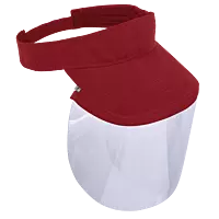 VIZIP Wing Visor