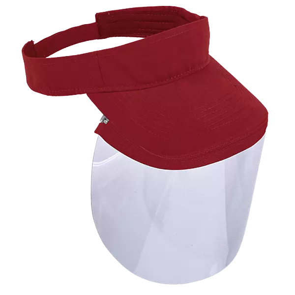 VIZIP Wing Visor