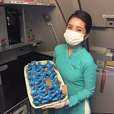 Sao Biển Vietnamairline - Thủ Công Nhồi Bông Sao Biển Vietnamairline - Thủ Công Nhồi Bông