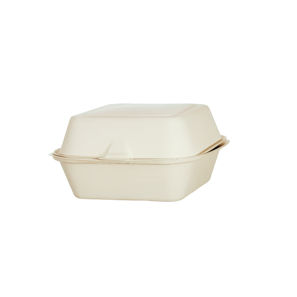 BURGER BOX - SUGARCANE
