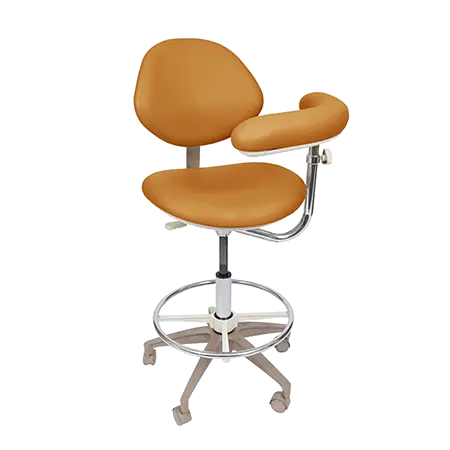 Deluxe Assistant Stool