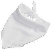 Pre-Production Sample Hoppla Tyson Small Polyester Dog Bandana