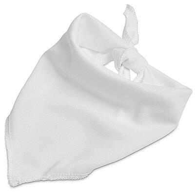 Pre-Production Sample Hoppla Tyson Small Polyester Dog Bandana