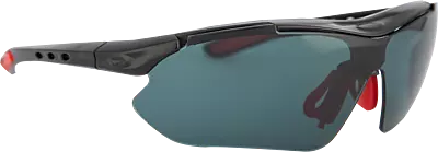 Pioneer O Vision Spectacle