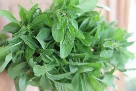 SIRU KEERAI ( TROPICAL AMARANTHUS )