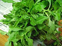 SIRU KEERAI ( TROPICAL AMARANTHUS )