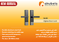 SL30- Zigbee Door Lock
