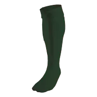 BRT Team Sock
