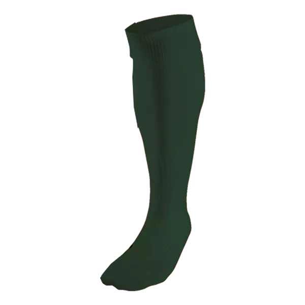 BRT Team Sock