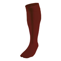 BRT Team Sock