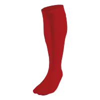 BRT Team Sock