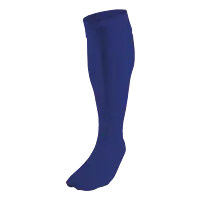 BRT Team Sock