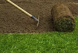 SOD INSTALLATION. #3