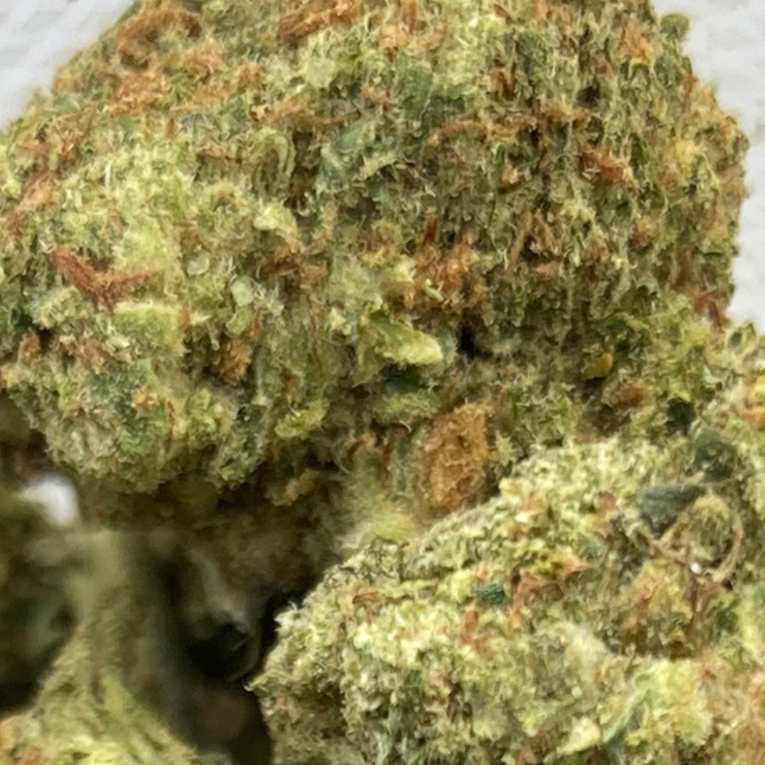 Sour Diesel Greenhouse Premium