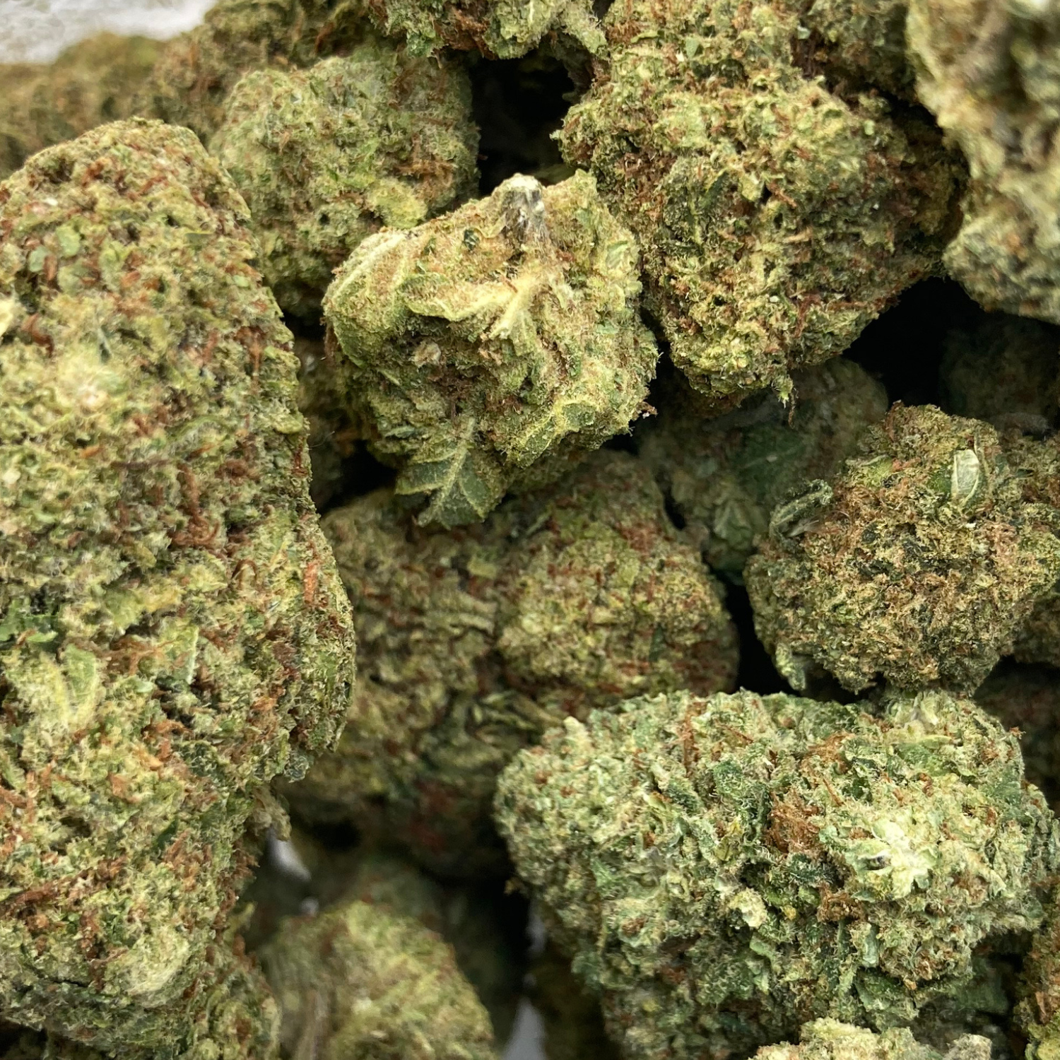Sour Diesel Greenhouse Premium