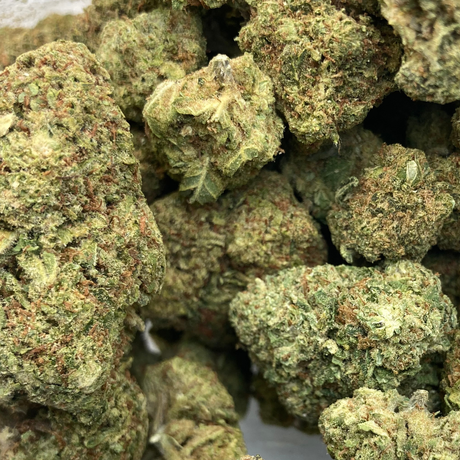 Sour Diesel Greenhouse Premium