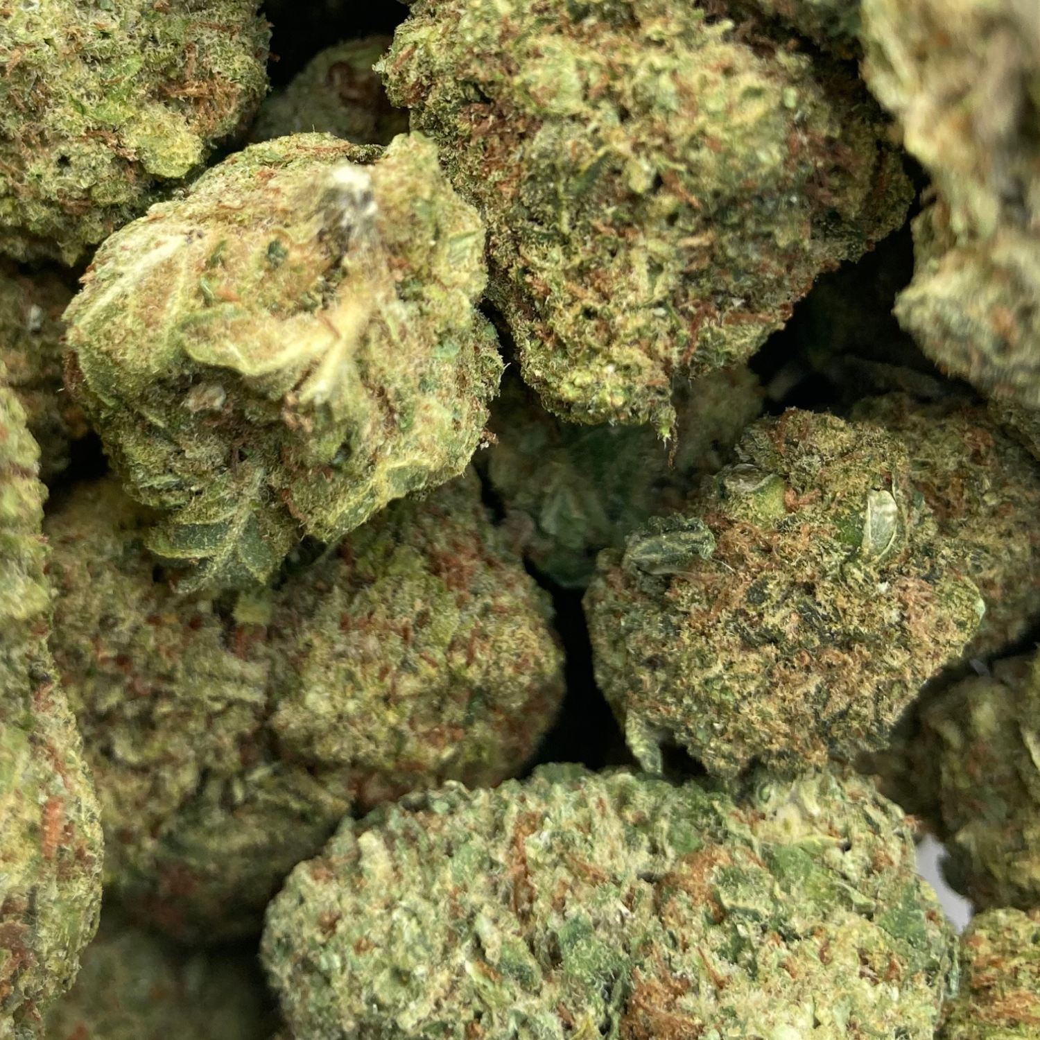 Sour Diesel Greenhouse Premium