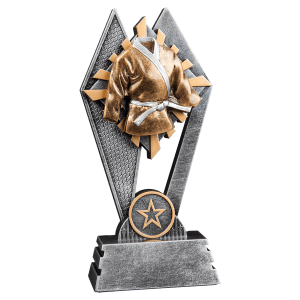 Sun Ray Resin Trophy-Martial-Arts-7in.