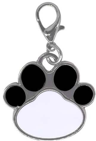Pet Name Tags