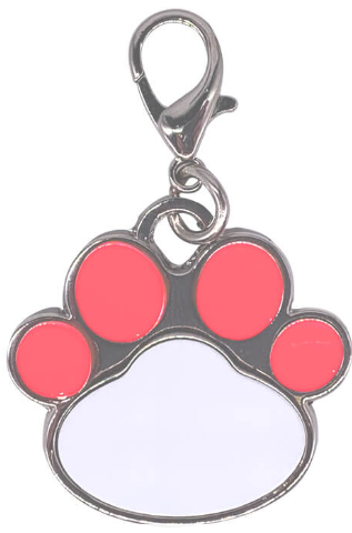 Pet Name Tags