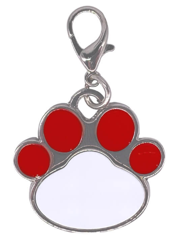 Pet Name Tags
