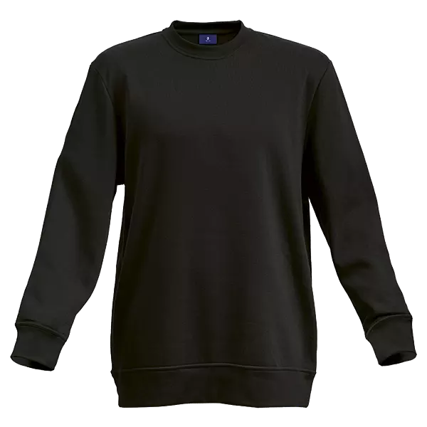 Barron Basic Crew Neck Sweater