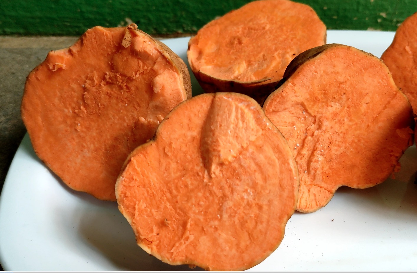 Sweet Potatto Seed